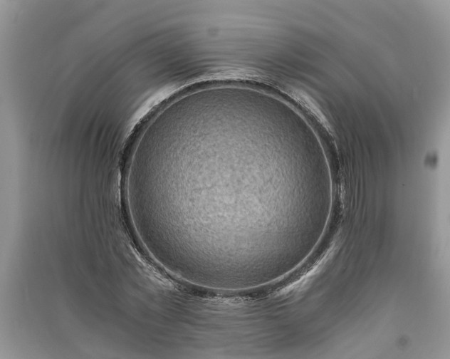 X0000091060781200708131129