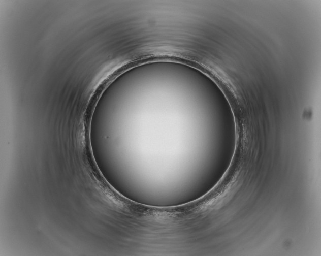 X0000091060782200708131129