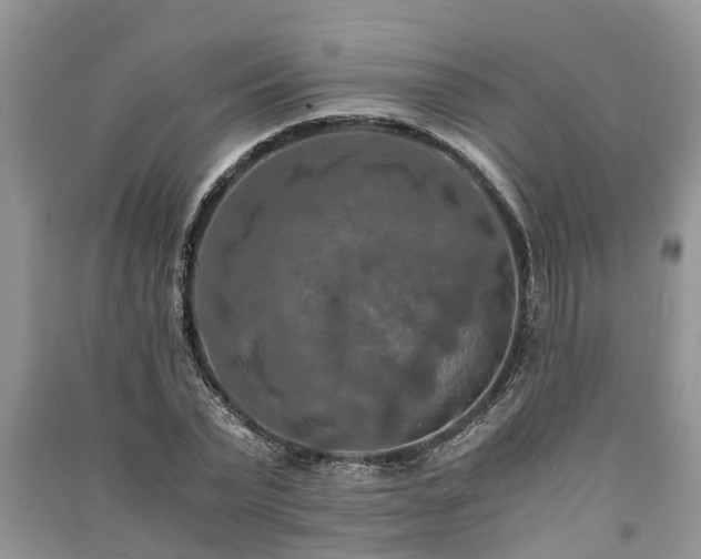 X0000091060783200708131129