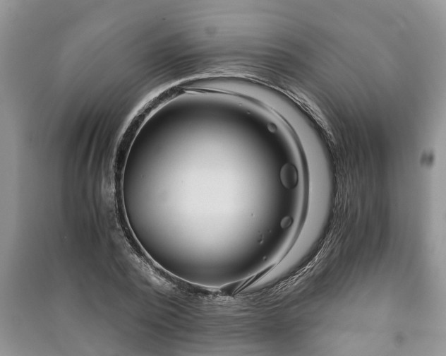 X0000091060784200708131129