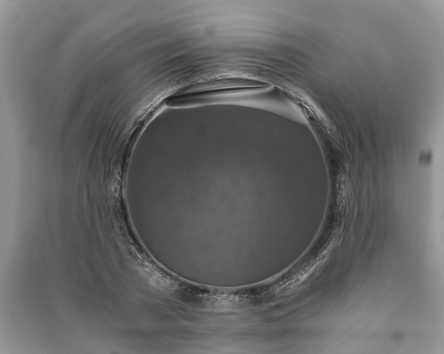 X0000091060785200708131129