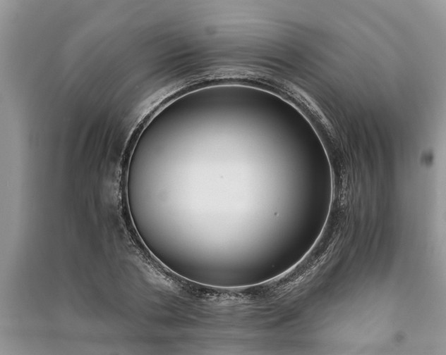 X0000091060786200708131129