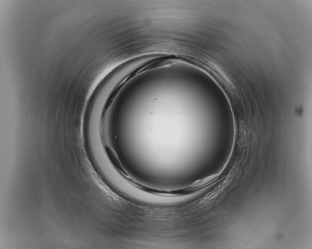 X0000091060788200708131129
