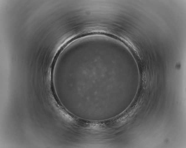 X0000091060790200708131129