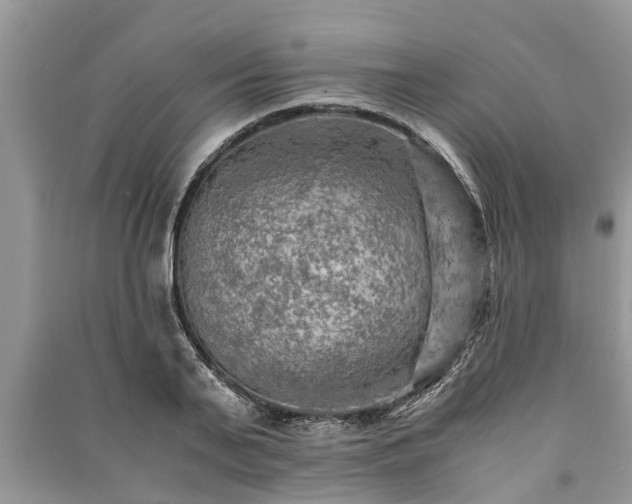 X0000091060791200708131129