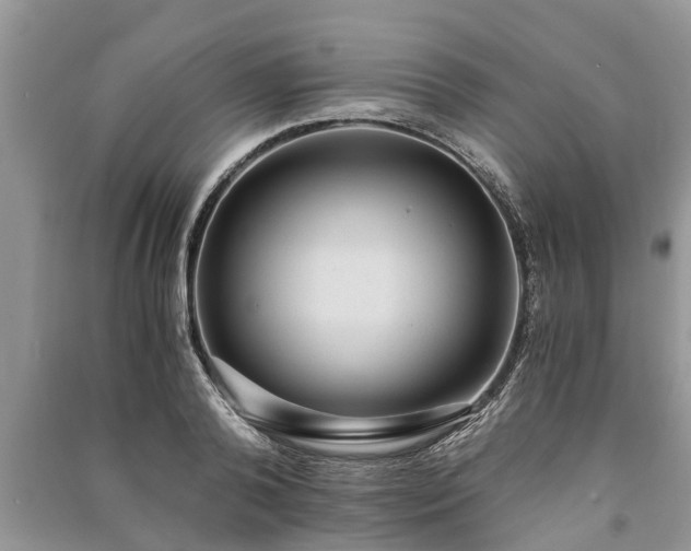 X0000091060792200708131129