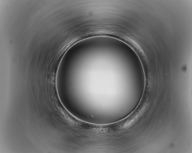 X0000091060793200708131129