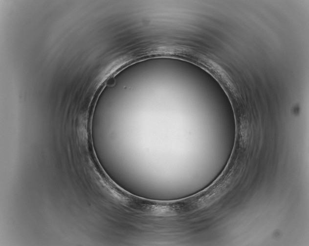 X0000091060794200708131129