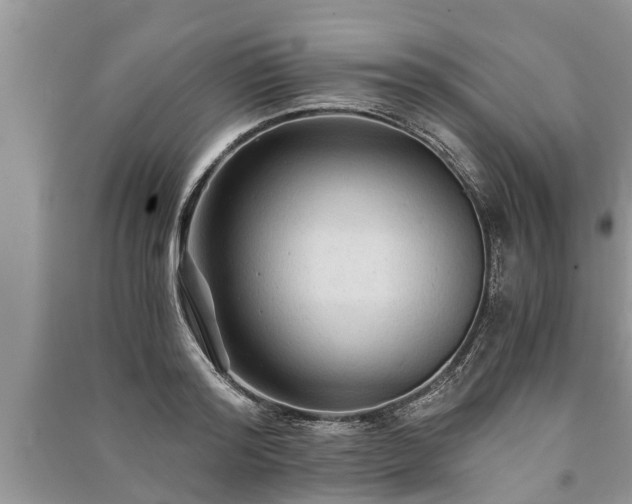 X0000091060796200708131129