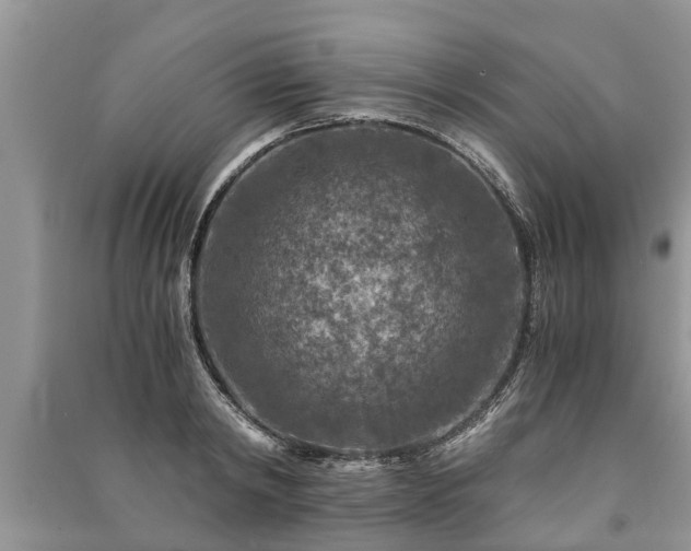 X0000091060798200708131129