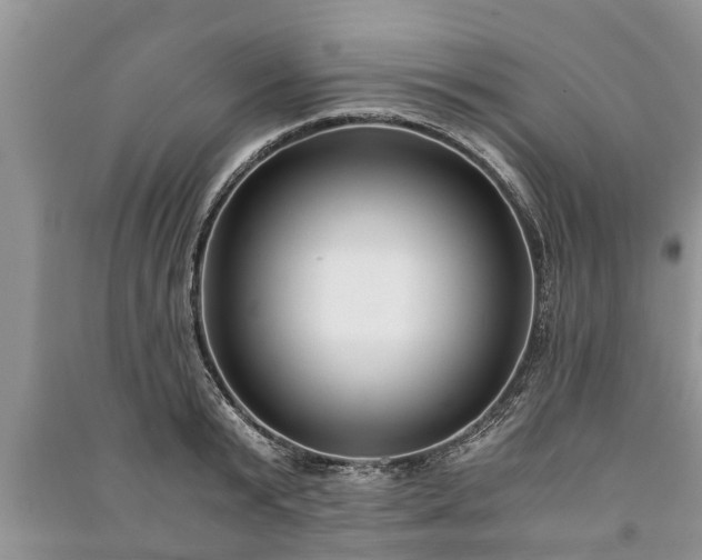 X0000091060799200708131129