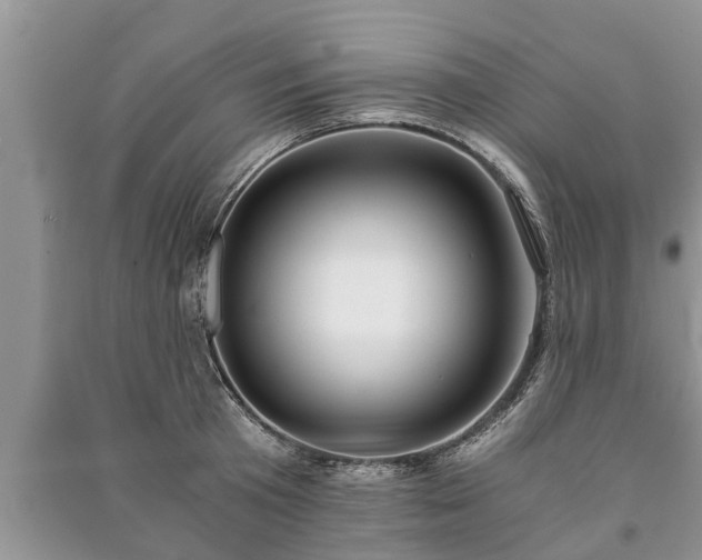 X0000091060801200708131129