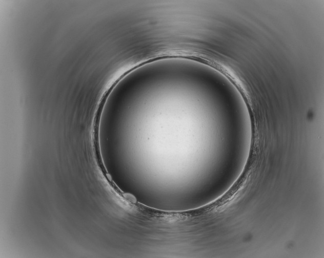 X0000091060803200708131129