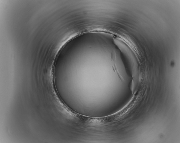 X0000091060806200708131129