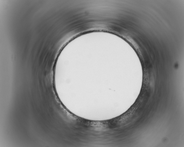X0000091060807200708131129