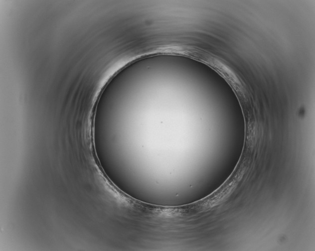 X0000091060808200708131129