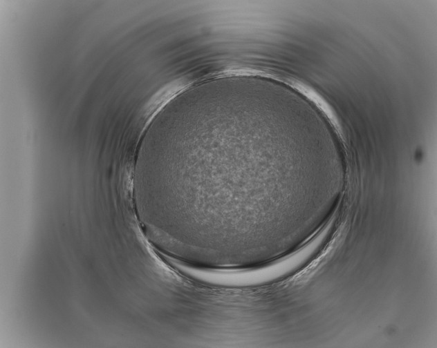 X0000091060809200708131129