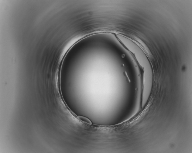 X0000091060812200708131129