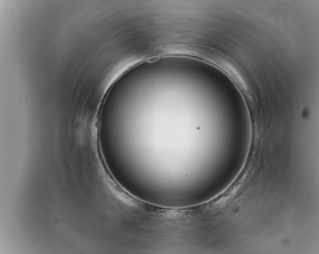 X0000091060814200708131129
