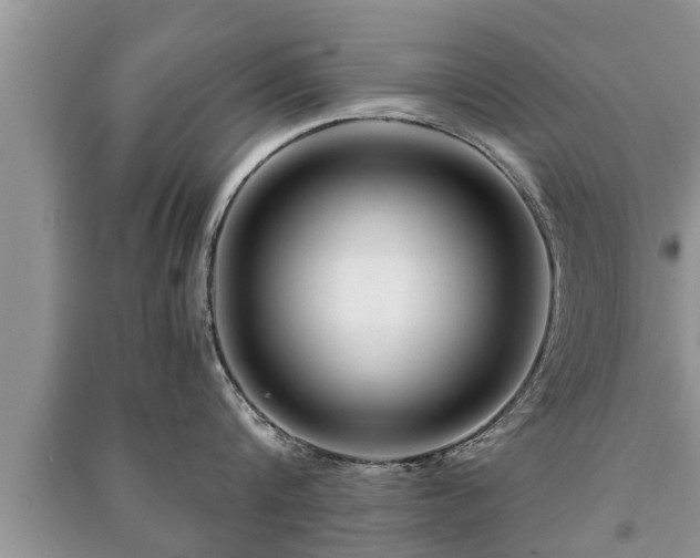 X0000091060816200708131129