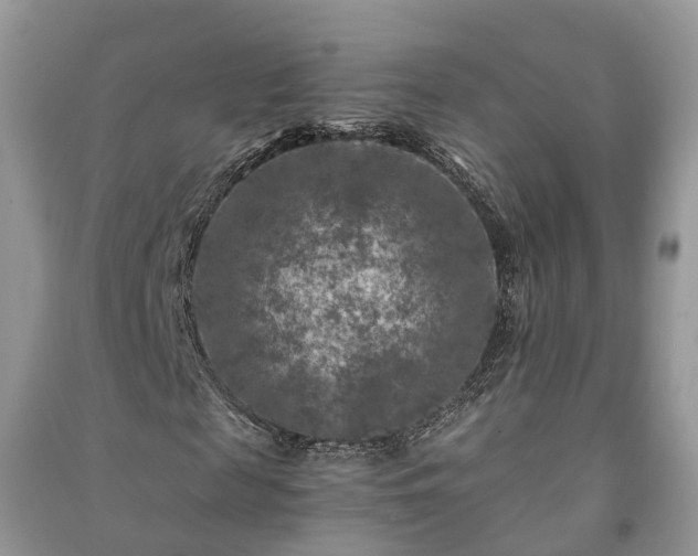 X0000091060817200708131128