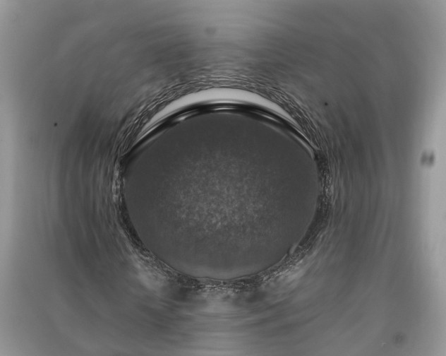 X0000091060818200708131128
