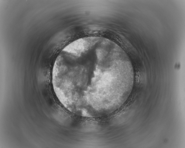 X0000091060820200708131128