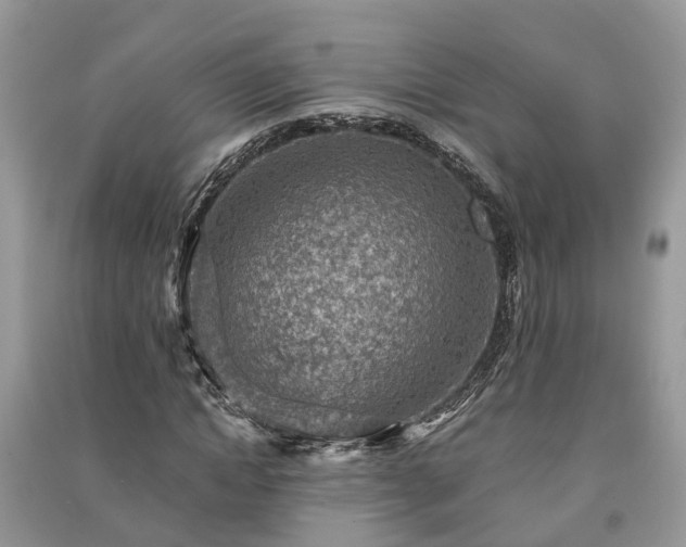 X0000091060822200708131128
