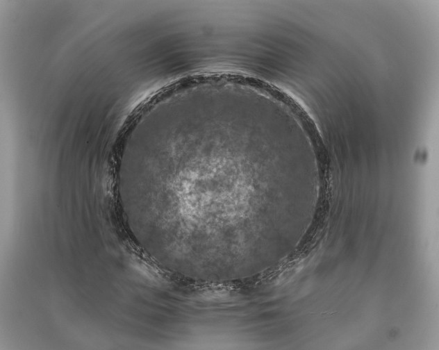 X0000091060823200708131128