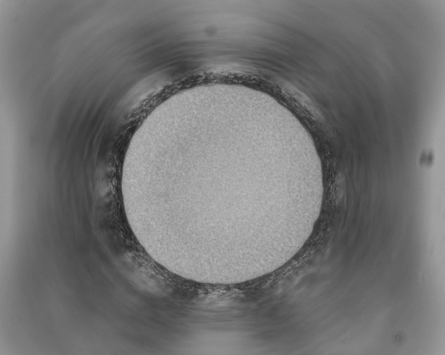 X0000091060824200708131128