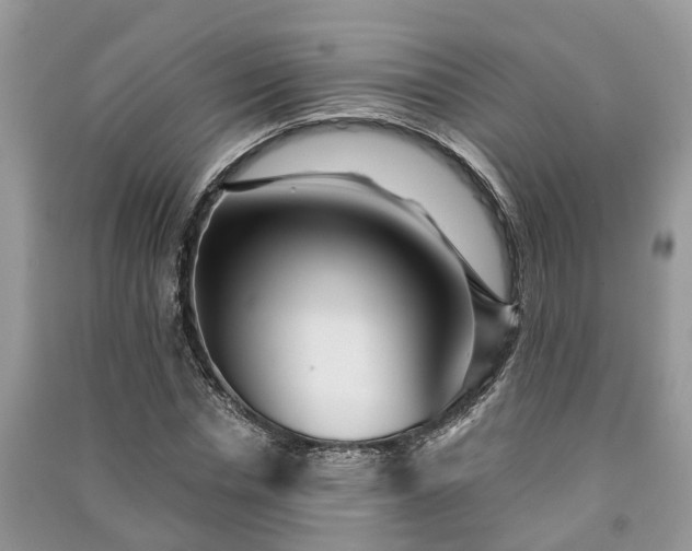 X0000091060826200708131128