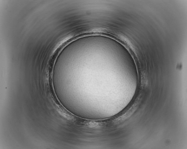 X0000091060827200708131128