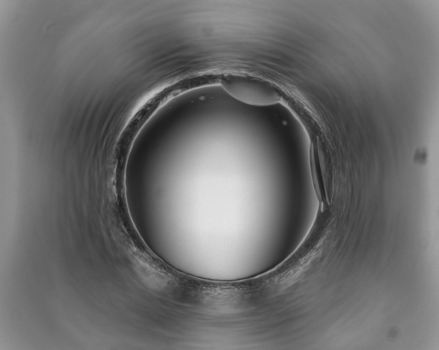 X0000091060830200708131128