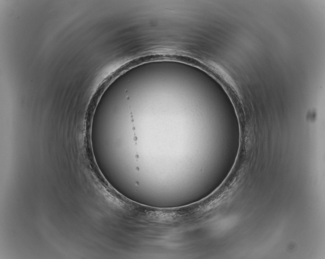 X0000091060831200708131128