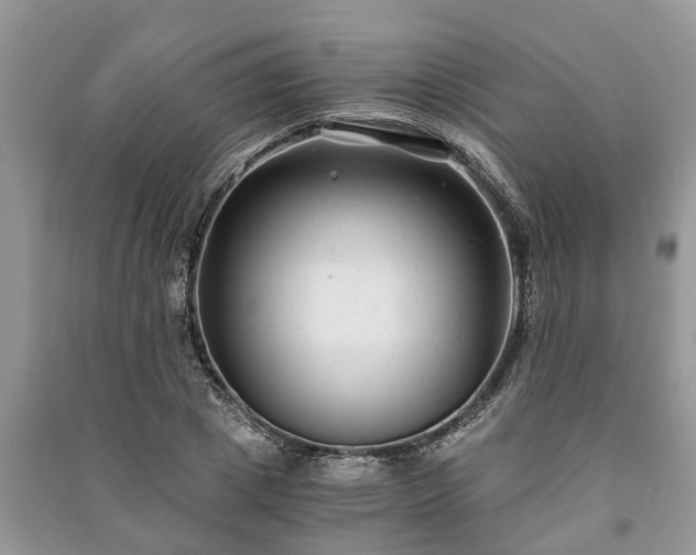 X0000091060833200708131128