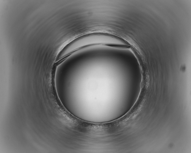 X0000091060834200708131128