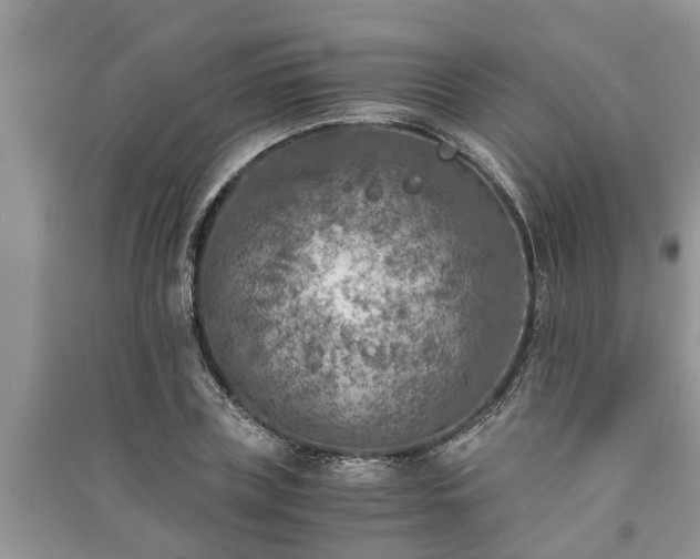 X0000091060835200708131128