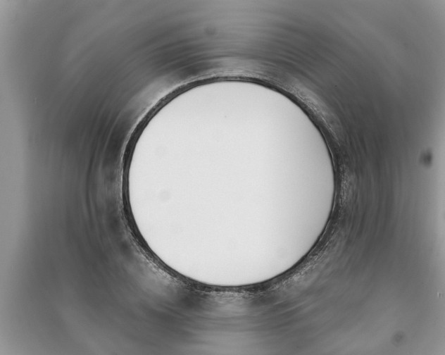 X0000091060836200708131128