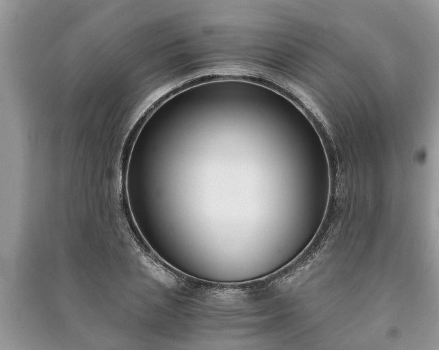 X0000091060837200708131128