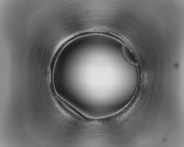 X0000091060838200708131128