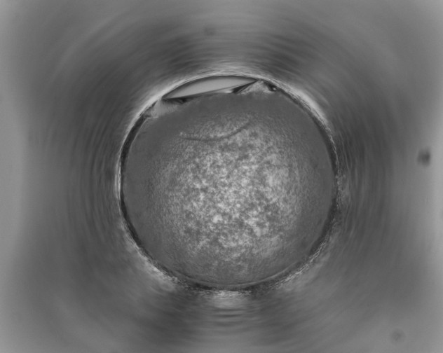 X0000091060839200708131128