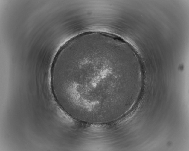X0000091060840200708131128