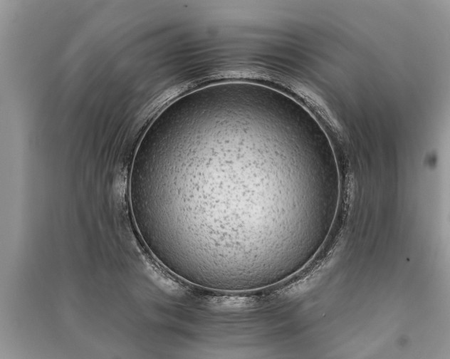 X0000091060841200708131128