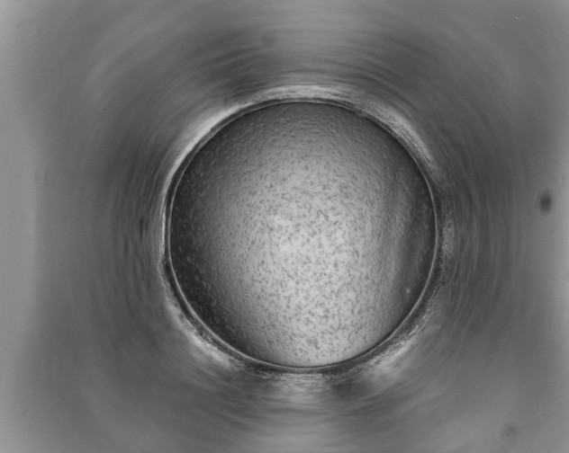 X0000091060844200708131128