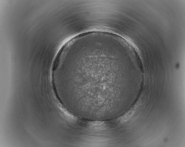X0000091060846200708131128