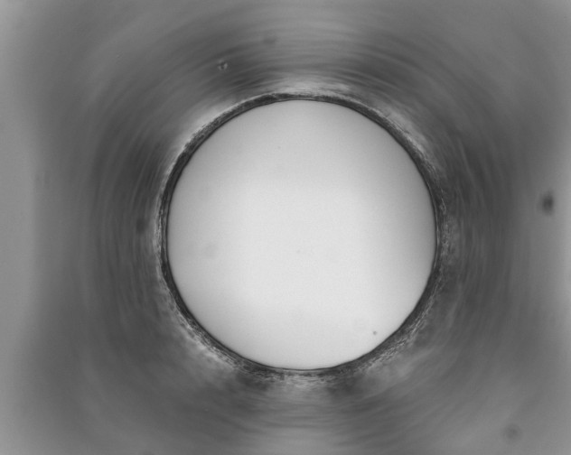 X0000091060848200708131128