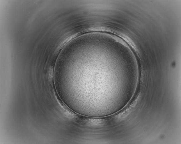 X0000091060849200708131128