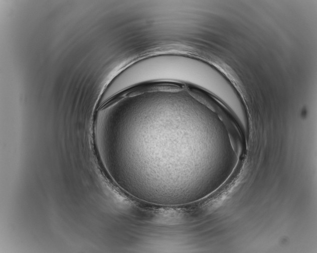 X0000091060850200708131128