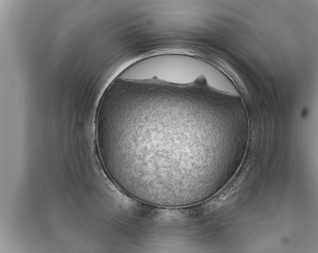 X0000091060852200708131128