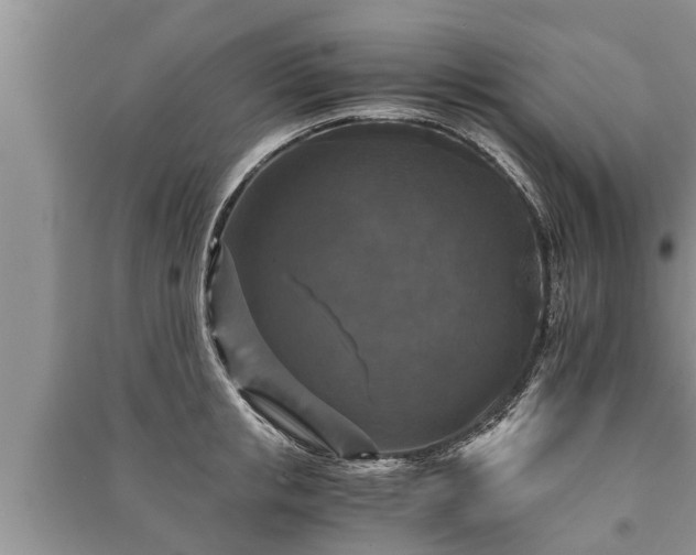 X0000091060853200708131128